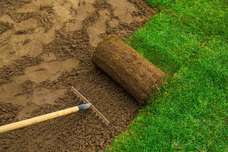 SOD for Backyard - Yard & Stone Landscaping - Northumberland