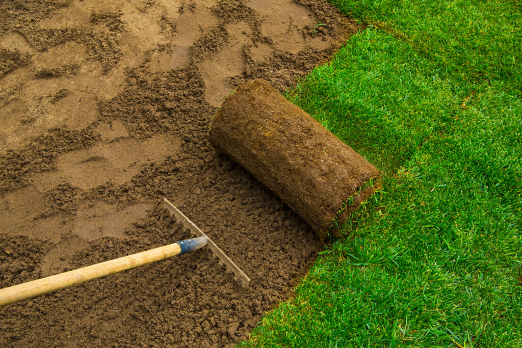 SOD for Backyard - Yard & Stone Landscaping - Northumberland