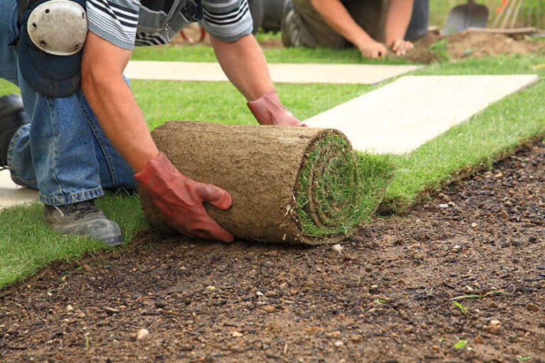 Installation of SOD - Yard & Stone Landscaping - Northumberland
