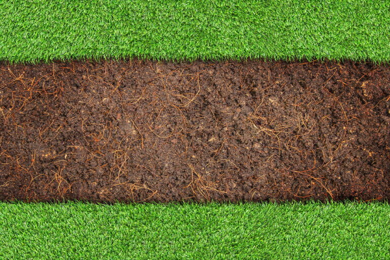 Front Yard SOD - Yard & Stone Landscaping - Northumberland