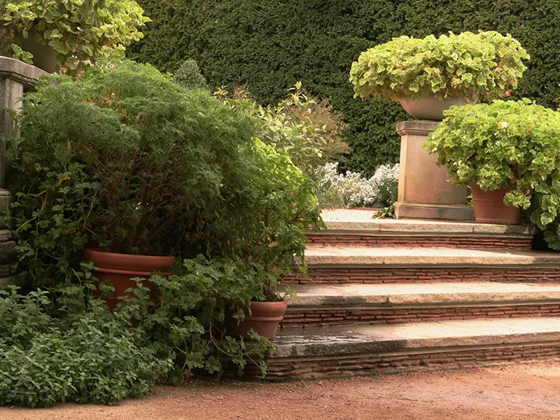 stone step stairways - Yard & Stone Landscaping - Northumberland